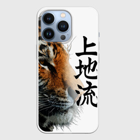 Чехол для iPhone 13 Pro с принтом ТИГР | НАДПИСЬ НА КИТАЙСКОМ в Кировске,  |  | 2022 | chinese character | framed | new year | ornament | powerful | strong | tiger | year of the tiger | yellow look | амурски | год тигра | дикий | жёлтый взгляд | китайский иероглиф | мощный | надпись на китайском | новый год | орнамент 