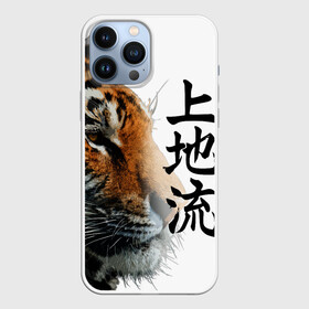 Чехол для iPhone 13 Pro Max с принтом ТИГР | НАДПИСЬ НА КИТАЙСКОМ в Кировске,  |  | 2022 | chinese character | framed | new year | ornament | powerful | strong | tiger | year of the tiger | yellow look | амурски | год тигра | дикий | жёлтый взгляд | китайский иероглиф | мощный | надпись на китайском | новый год | орнамент 