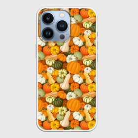 Чехол для iPhone 13 Pro с принтом Тыквы (Pumpkin) в Кировске,  |  | halloween | блюдо | веган | вегетарианец | витамины | диета | еда | завтрак | здоровое питание | здоровье | зелень | зож | корм | кушанье | обед | овощи | офощи | перекус | пища | повар | растительное питание