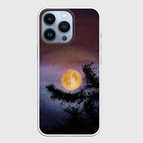 Чехол для iPhone 13 Pro с принтом night sky with full moon by Apkx в Кировске,  |  | apkx | fullmoon | moon | night | sky | картина | луна | небо | ночь | полнолуние
