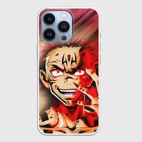 Чехол для iPhone 13 Pro с принтом RAGE SUKUNA, СУКУНА В ЯРОСТИ в Кировске,  |  | anime | japan | japanese | jujutsu | jujutsu kaisen | kaisen | sukuna | tattoo | аниме | двуликий призрак | иероглифы | инумаки | итадори | итадори юдзи | магическая битва | нобара | панда | рёмен | рёмен сукуна | сатору | сукуна