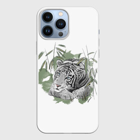 Чехол для iPhone 13 Pro Max с принтом Тигр на отдыхе в Кировске,  |  | Тематика изображения на принте: астрология | белый тигр | год | гороскоп | зодиак | китайский гороскоп | новогодний тигр | новый год | серый тигр | символ | символ года | тигр | тигренок