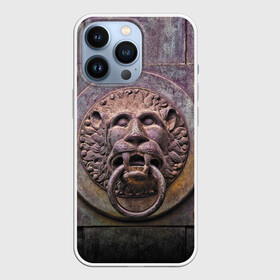 Чехол для iPhone 13 Pro с принтом Lion gate в Кировске,  |  | ears | eyes | fangs | gate | jaw | lion | mane | metal | muzzle | ворота | грива | клыки | лев | металл | пасть | уши