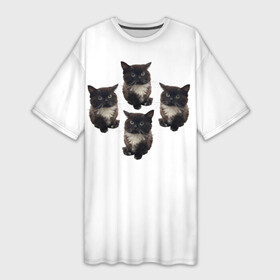 Платье-футболка 3D с принтом Чмоня в Кировске,  |  | животные | кот | котики | коты | мем | мем 2022 | мемы | тренд