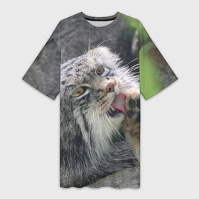 Платье-футболка 3D с принтом Манул  Лапка в Кировске,  |  | cat | cats | всеядный | детеныш | дикие | звери | зверята | кот | котик | лапка | манул | медведь | милый | природа | хищник