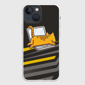 Чехол для iPhone 13 mini с принтом Котик лежит на ноутбуке в Кировске,  |  | кот | кот на ноутбуке | котенок | котик | кошка | ноут | ноутбук | сон