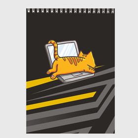 Скетчбук с принтом Котик лежит на ноутбуке в Кировске, 100% бумага
 | 48 листов, плотность листов — 100 г/м2, плотность картонной обложки — 250 г/м2. Листы скреплены сверху удобной пружинной спиралью | кот | кот на ноутбуке | котенок | котик | кошка | ноут | ноутбук | сон