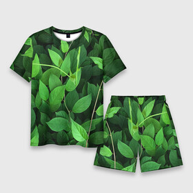 Мужской костюм с шортами 3D с принтом Вьюнок в Кировске,  |  | ветки | вьюнок | для охоты | для прогулок | для путешествий | для рыбалки | зеленый | зелень | камуфляж | лето | лимонник | листва | листья | лоза | природа | природный | растения | текстура | экология