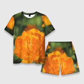 Мужской костюм с шортами 3D с принтом Оранжевый сад в Кировске,  |  | бубенчик | бубенчики | дача | красота | лепесток | лето | огород | оранжевый | природа | растение | сад | участок | фазенда | цветение | цветовод | цветоводство | цветок | цветы