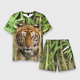 Мужской костюм с шортами 3D с принтом Матёрый тигр в зарослях бамбука в Кировске,  |  | Тематика изображения на принте: eyes | jungle | moustache | muzzle | nose | skin | tiger | глаза | джунгли | нос | тигр | усы