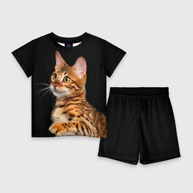 Детский костюм с шортами 3D с принтом Бенгальский котёнок на чёрном фоне в Кировске,  |  | Тематика изображения на принте: bengal | cat | cats | kitty | бенгал | бенгальская | бенгальская кошка | бенгальские | бенгальский | кот | котёнок | котята | кошка | леопард | леопардовая | леопардовый