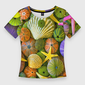 Женская футболка 3D Slim с принтом Композиция из морских звёзд и ракушек в Кировске,  |  | color | composition | shell | starfish | композиция | морская звезда | ракушка | цвет