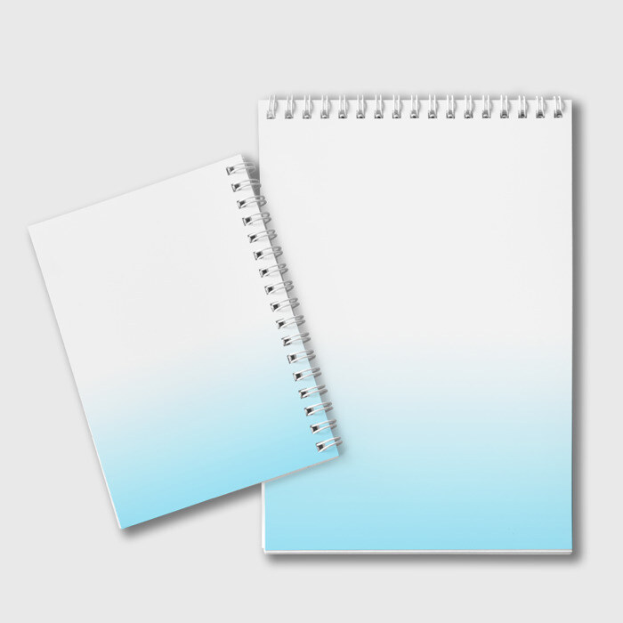 Блокнот ReZero Рем фото